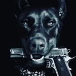 Edwin Winter - @edwinwinter65 - Instagram