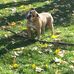 Ed Wisniewski - Facebook