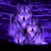 Edwin Woodward - Facebook