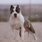 Edwin Woolley - @inmyownworld08 - Instagram
