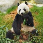 Edwin Wu - Facebook