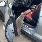 Edwin Yang - @chinading1 - Instagram