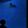 Edwinyee39 - @30726095689 - TikTok
