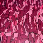 Edwin Hatto - @edwinhatto - Instagram