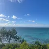 edwina - @edwina.mitchell - TikTok