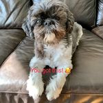 Edwina Wallace - @mdwehw - Instagram
