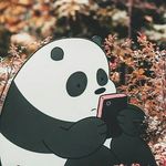 Edy Chandra - @edy.chandraa - Instagram