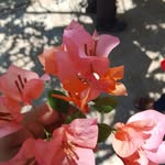 EDY J - @edy___jimenez - Instagram