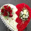 edyjimenez585 - @edyjimenez585 - TikTok