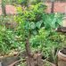 Edy Rusli - Facebook
