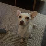Edy Samayoa - @8875edy - Instagram