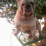 Inocencio edy Valdes hernandes - @inocencioedyvaldes - Instagram