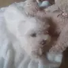 edytasawicka555 - @edytasawicka555 - TikTok