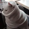 edytasawicka607 - @edytasawicka607 - TikTok