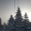 Edyta Sobczyk - @edyta.sobczyk5 - TikTok