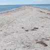 Edyta Stępień - @edytastpie83 - TikTok