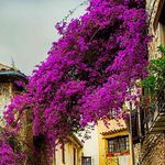 Edyta Stepien - @edyta.stepien.3158 - Instagram