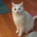 Edythe Smith - Facebook