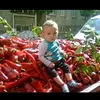 efe.ege - @efe.ege8 - TikTok
