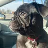 EffieB - @effie1025 - TikTok