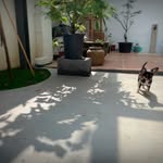 墨兒 - @effie.lin2222 - Instagram