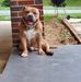 Ava Sweeney - Facebook