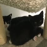 Walter & Effie - @walter_effie - Instagram