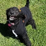 Effie Mae Waters - @eff.dawgggg - Instagram