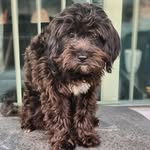 Effie Soy (White) - @effieswhite - Instagram