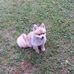 Effie Wiley - Facebook
