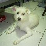 Effie Yang - Facebook
