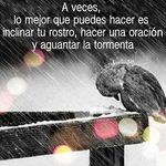 Efrain Amaya - @efrainamaya7774 - Instagram