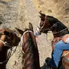 Efrain Arevalo - @efrain.arevalo22 - TikTok