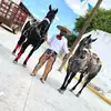 Efrain Barrios - @efrainbarrios5 - TikTok
