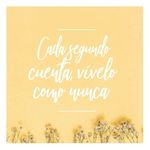 @efrainbartolome8 - Instagram