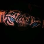 Efraín bazan - @efrainbazan7 - Instagram