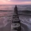 efra2546 - @efrainbello51 - TikTok