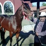 Benjamin Efrain Jiménez - @benjaminefrainjimenez - Instagram