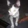 Efrain Butron - @efrain.butron - TikTok