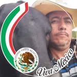 Efrain Bravo - @efrain.bravo.35110 - Instagram
