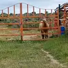 Efraín briones - @briones10efrain - TikTok