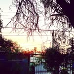 Efrain Camarillo - @efrain.camarillo.33 - Instagram