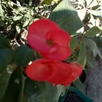 efraincamarillo - @efraincamarillo9 - Instagram