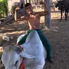 Jesús_castro_23:) - @candelariaefrain - TikTok