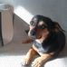 Efrain Cantu - Facebook