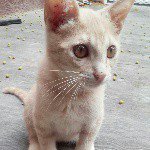 Efrain Carrillo Castro - @carrillo.efrain - Instagram