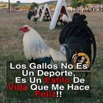 Efrain Casillas - @casillas7318 - Instagram