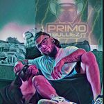 Efrain Castro - @primobulliez - Instagram