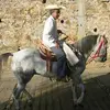 @efrain.colin - @efraincolin262 - TikTok