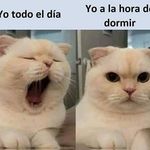 Efrain Corpus Ledesma - @corpusledesma - Instagram